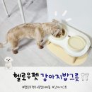 헬로우펫 | 헬로우펫 라운딩테이블 높이조절가능한 도자기 고양이 강아지밥그릇
