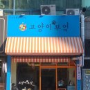 고양이부엌 | 서현역 맛집 고양이 부엌 후기｜고양이 가득한 인테리어와 깔끔한 즉석떡볶이