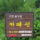 카페선 Daum카페