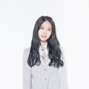 비둘기모사 이미지