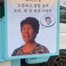 크루쓰승무원학원 이미지