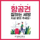 (주)대한여행사 이미지