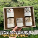 전통차 선물세트 추천 자연애 수제한차 진명차 후기