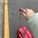 돈방석 | 12월 제주도 힐링 가족여행, 꽃밥 봄날 돈방석 추천 후기