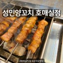 이스페이스주 | [호매실맛집] 성민양꼬치 호매실점 솔직후기, 두툼한 양고기 최고!