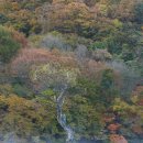 주산지 Daum카페