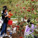 풀잎농장 이미지