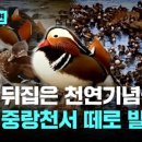 시그니처안경 이미지