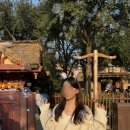 치킨독립군 | 🇨🇳상하이여행 디즈니랜드 프리미어 후기 주토피아 트론 폴럭스polux 임시정부 헌치우이치엔818지점...