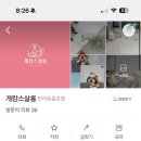 개캉스 살롱 이미지