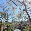 번지없는식당 | 광주 곤지암 가볼만한곳, 화담숲 식당, 번지없는 주막에서 식사