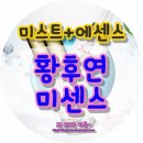 미센스 | [미스트+에센스] 얼굴에 빛을 밝히는 미스트 :: 황후연 미센스 후기 :)