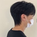 헤어파트너 - 중구 | 헤어파트너