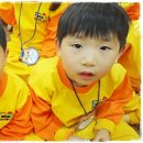 환타랜드숲유치원 이미지