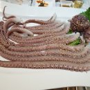 함평해보뻘낙지 이미지