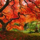 정지은공인중개사사무소 이미지