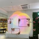 일박이일쓰리룸 이미지