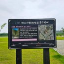 신녕천강변공원 이미지