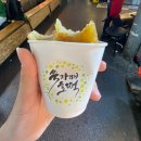 [광장시장] 맛집 모아보기🍽️