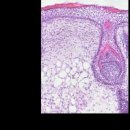 엘지바이오텍 이미지