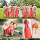 티디컴퍼니 이미지