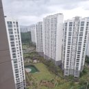 복돼지2공인중개사사무소 이미지