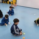 용인대 꿈나무 태권도 이미지