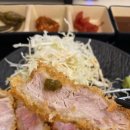 돈카츠마고양 이미지