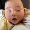 미성사 | 성수동 주말 찍먹해봄(성수이짜/진성한우곱창가락본점/스타벅스제시스트로베리프라푸치노/카페발디/당가...
