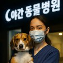 산호메디컬 이미지