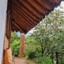 앵두나무집민박 이미지