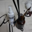 필소프트 이미지