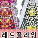 민주플라워