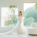 울산본식스냅웨딩박람회