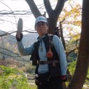 법수초등학교 이미지