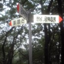 화봉 이미지