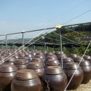 부일청소년수련원 이미지