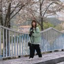 봄날처럼민박 이미지