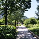 새벽별 민박 이미지