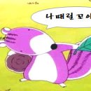 포로리