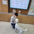 한들A 네이버블로그
