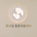 프라임 동물의료센터 이미지