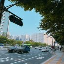 NR-43[은행나무로]-상-125 | [대만여행] 6/10 (월) 대만🇹🇼 타이베이 1일차 (아종면선🍜, 싱푸당 흑당버블티🧋, 발마사지🦶🏻&amp;귀청소...