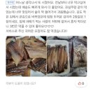 미소과메기 이미지