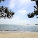 수산진명 이미지