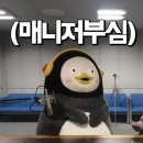 태닝아일랜드 이미지