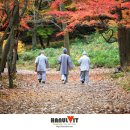 가을 - 16847 | 가을