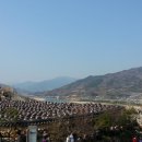 섬진농원 이미지