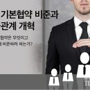 노사레이버