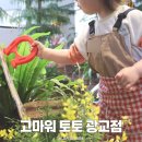주차32 | 고마워토토 광교 32개월 아기 첫방문 후기 예약방법 주차